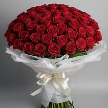 Букет 101 Красная роза Блэк Мэджик в Феодосии