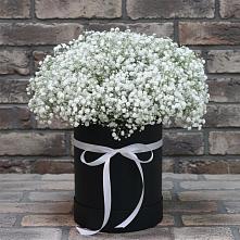 Цветочная композиция из Гипсофила в шляпной коробке в Феодосии